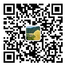 快盈IV登录